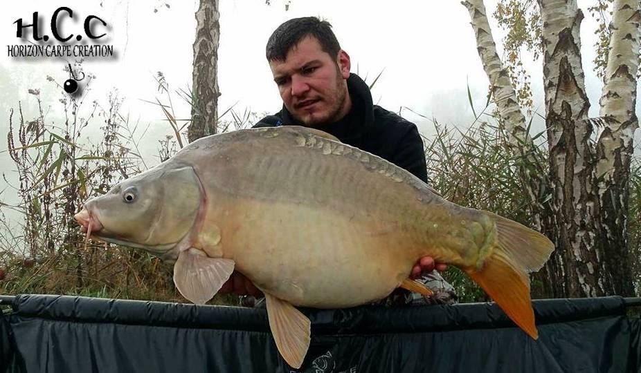 MICKAEL LAURENT - TESTEUR HCC