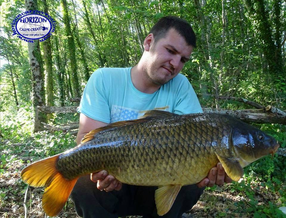 MICKAEL LAURENT - TESTEUR HCC