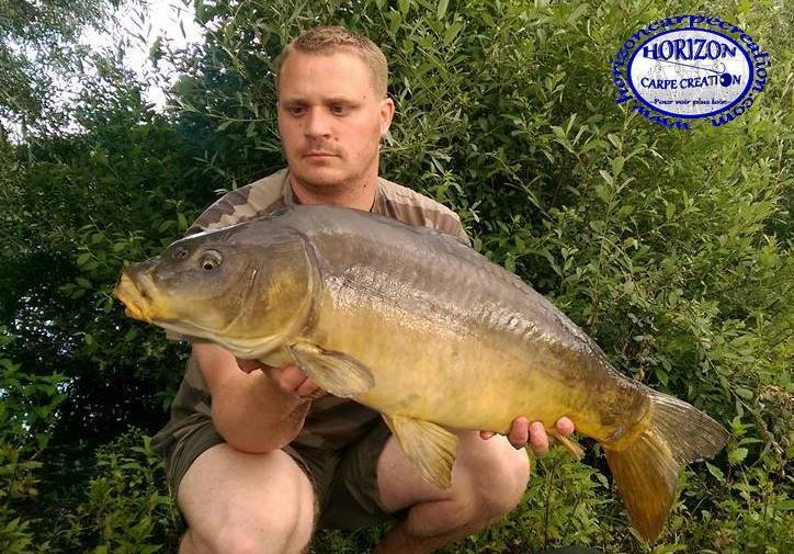 ALAN POYARD - CONSULTANT HCC