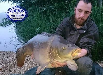 STEPHANE PAPON - CONSULTANT HCC
