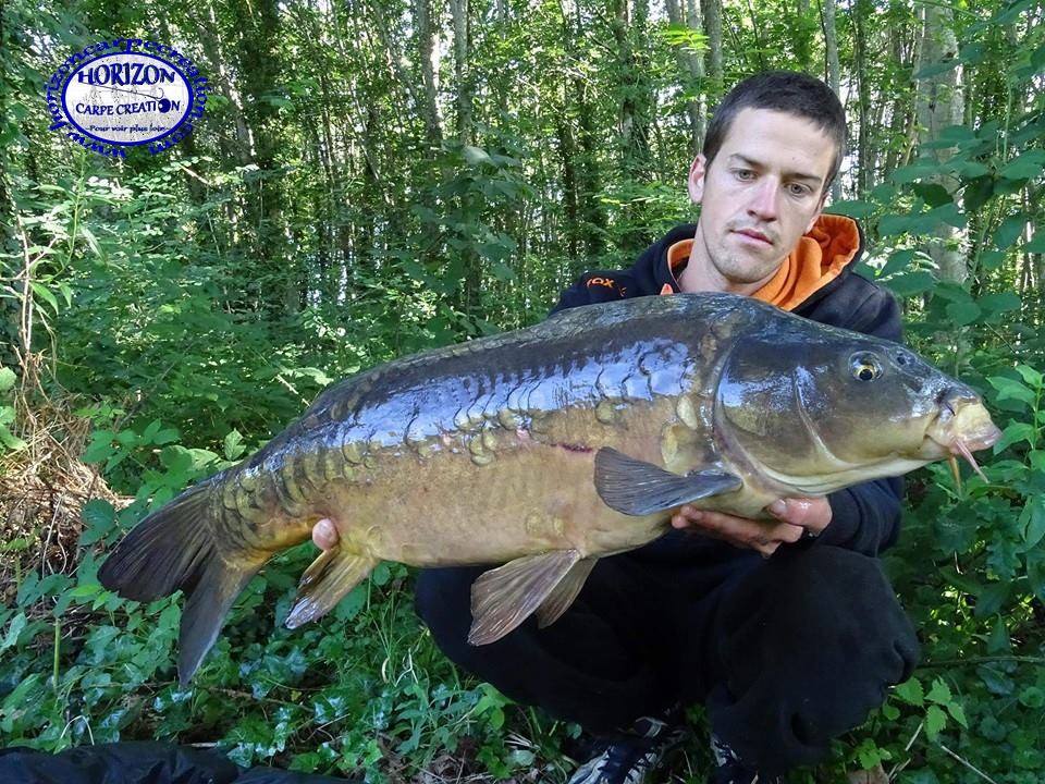 JULIEN DELHOUME - CONSULTANT HCC