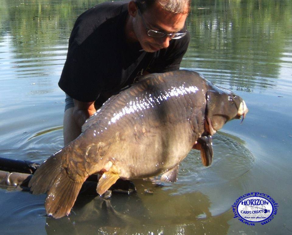 BAPTISTE FIORANI - TESTEUR HCC