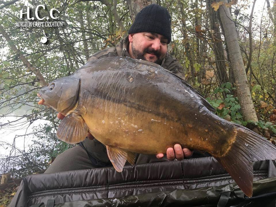 MICKAEL GAERTNER - TESTEUR HCC