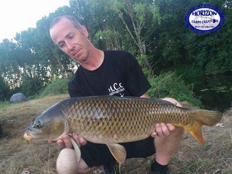 FABIEN MAITRE - CONSULTANT HCC