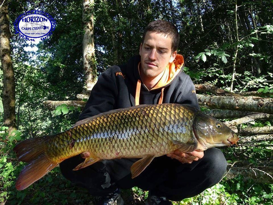JULIEN DELHOUME - CONSULTANT HCC