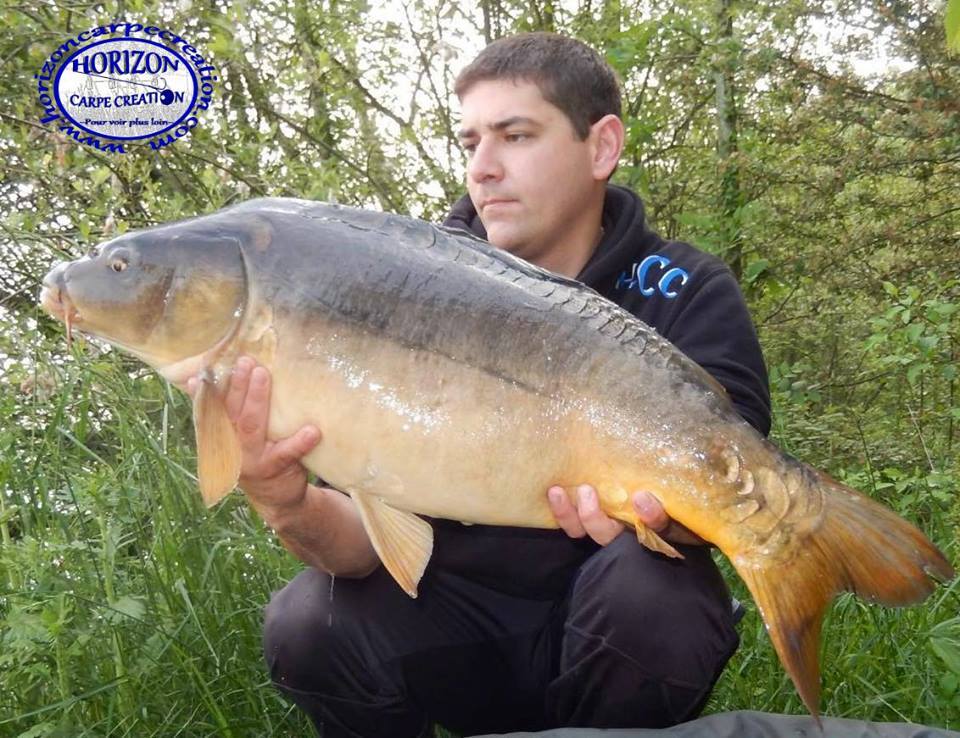 MICKAEL MACON - TESTEUR HCC