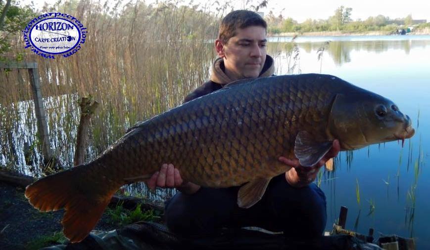 MICKAEL MACON - TESTEUR HCC