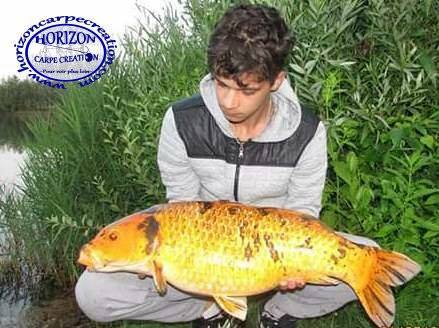 YOHANN WAROQUEAUX - CONSULTANT HCC