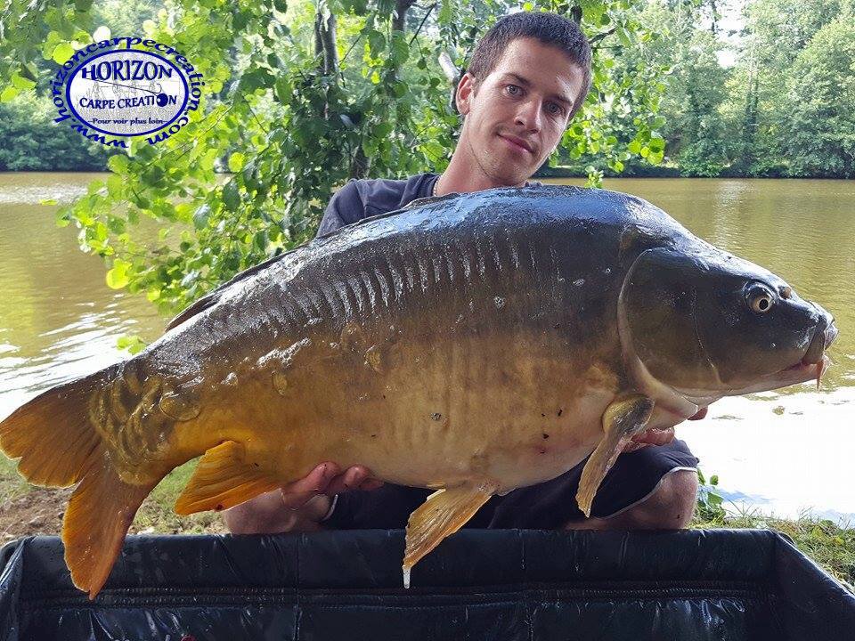 JULIEN DELHOUME - CONSULTANT HCC