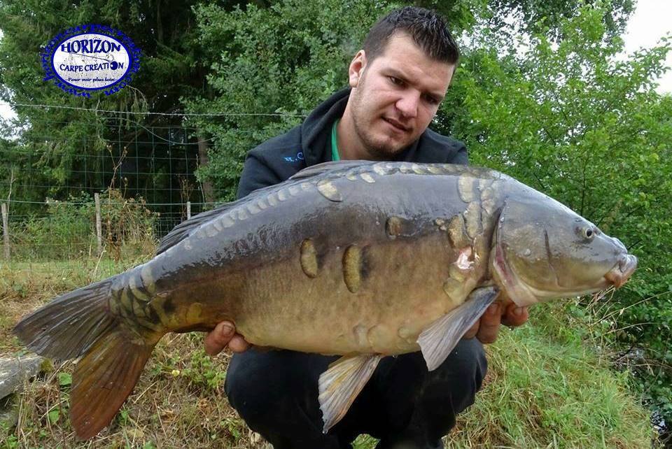MICKAEL LAURENT - TESTEUR HCC