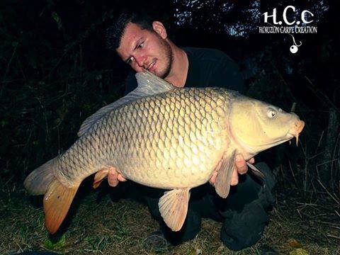 MICKAEL LAURENT - TESTEUR HCC