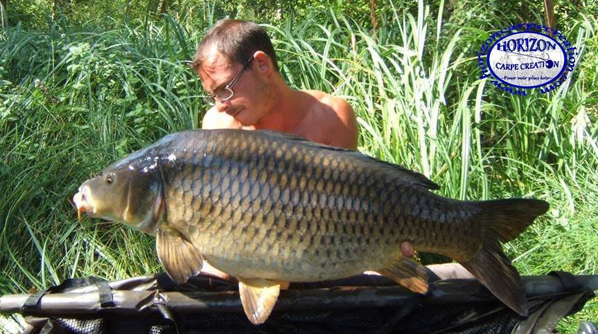 BAPTISTE FIORANI - TESTEUR HCC