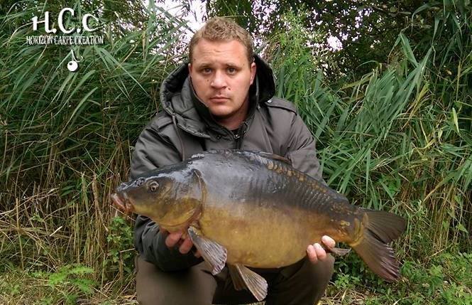 ALAN POYARD - CONSULTANT HCC