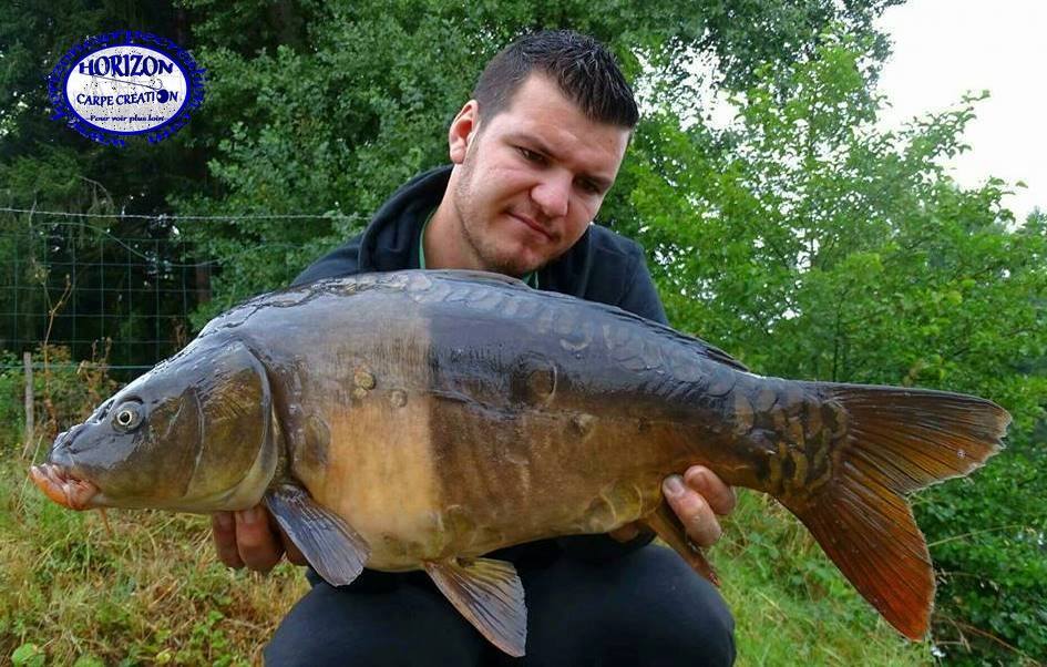 MICKAEL LAURENT - TESTEUR HCC