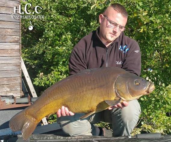CEDRIC HAVY - CONSULTANT HCC