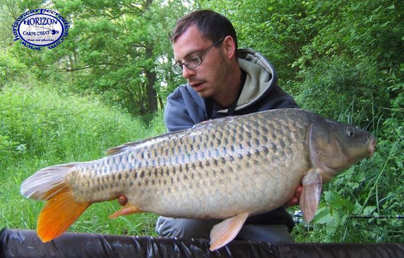 BAPTISTE FIORANI - TESTEUR HCC