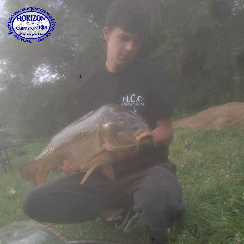 YOHANN WAROQEAUX - CONSULTANT HCC