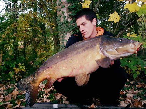 JULIEN DELHOUME - CONSULTANT HCC