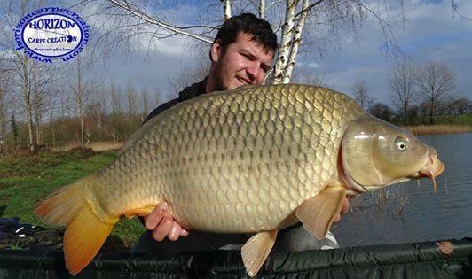 MICKAEL LAURENT - TESTEUR HCC