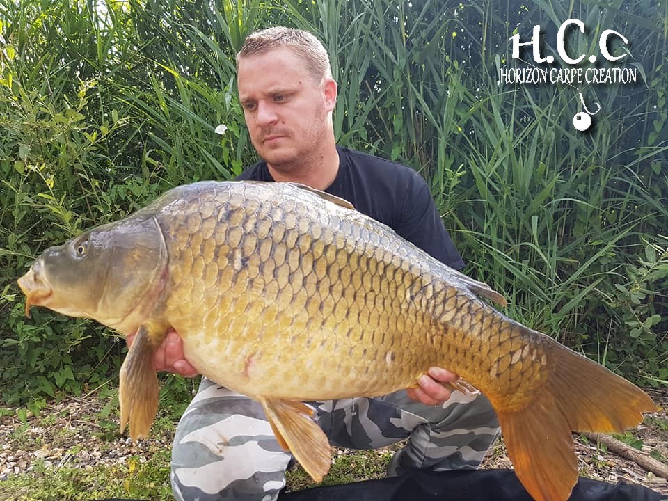 ALAN POYARD - CONSULTANT HCC