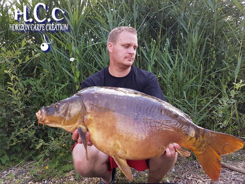ALAN POYARD - CONSULTANT HCC