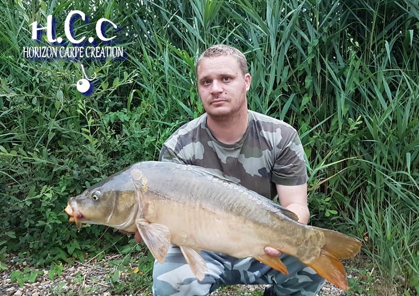 ALAN POYARD - CONSULTANT HCC