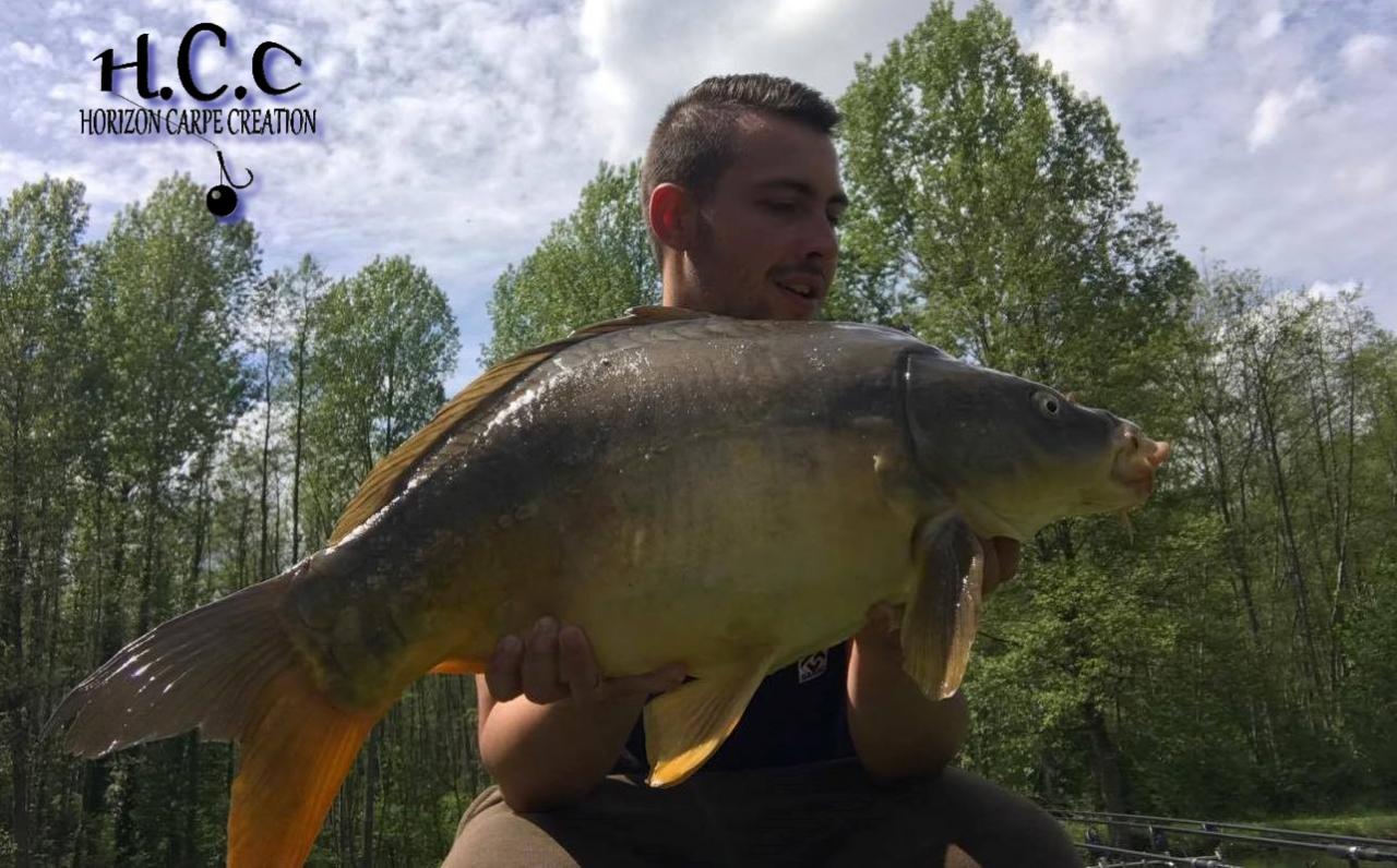 alexandrehcc21