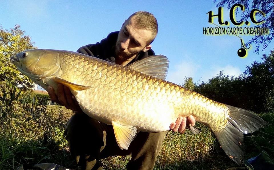 ALEXIS LAGRANGE - CONSULTANT HCC