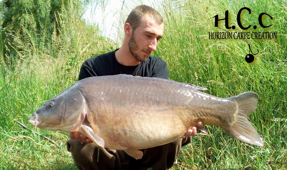 ALEXIS LAGRANGE - CONSULTANT HCC