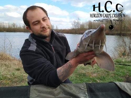 ALEXIS AMMANN - CLIENT HCC
