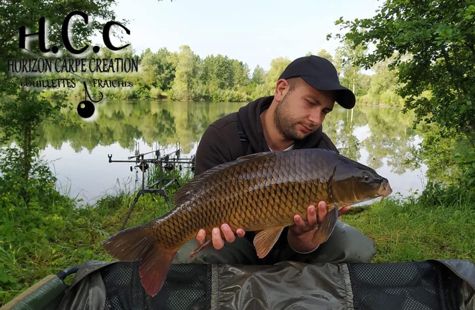 ALEXIS AMMANN - CLIENT HCC