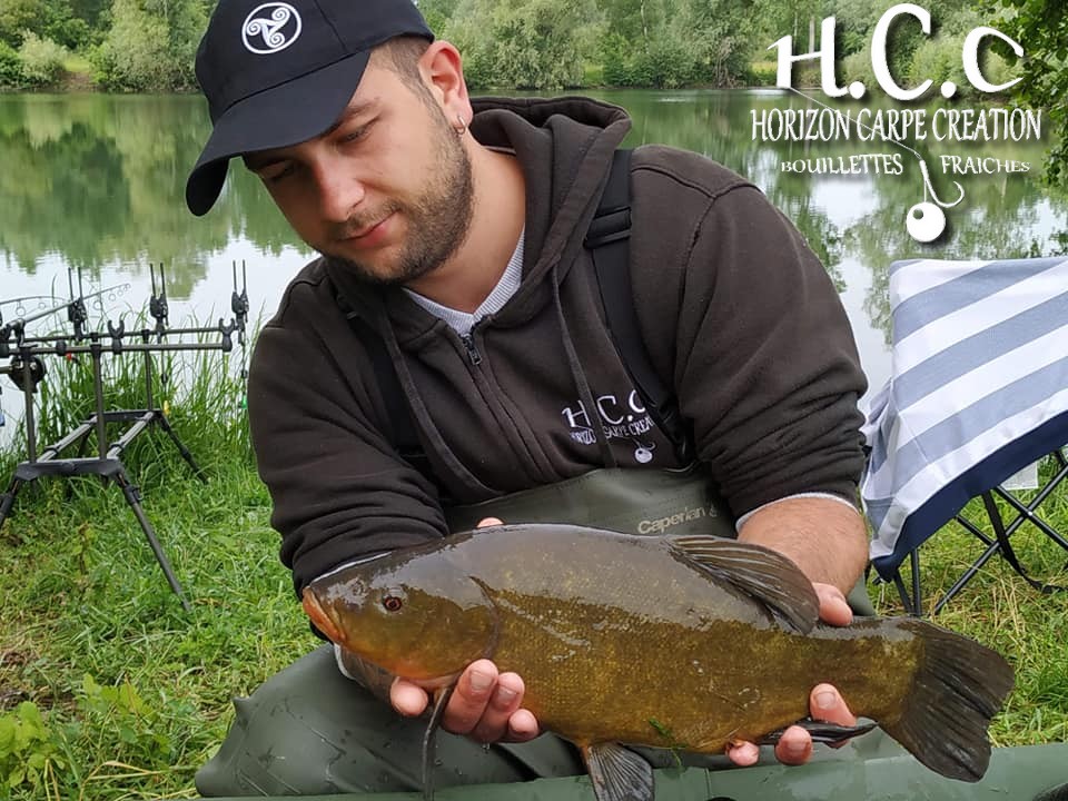 ALEXIS AMMANN - CLIENT HCC