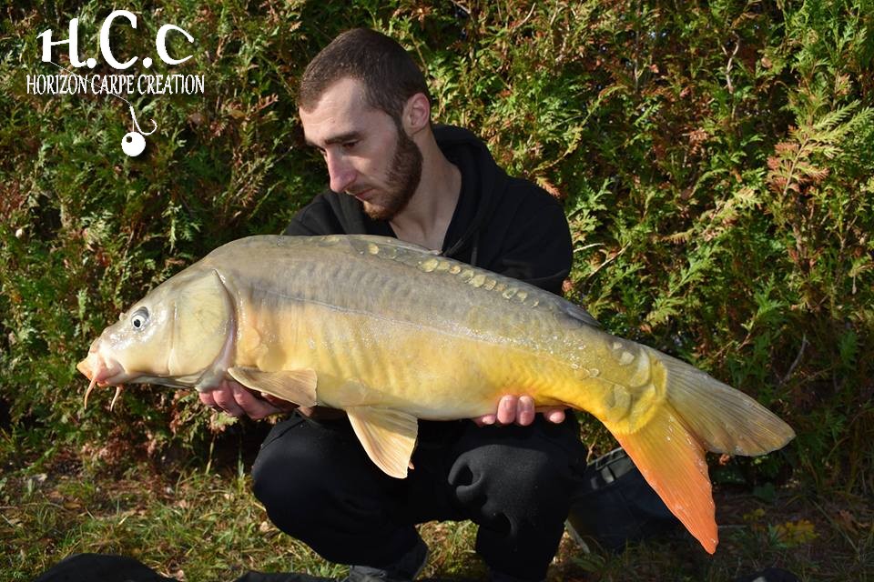 ALEXIS LAGRANGE - CONSULTANT HCC
