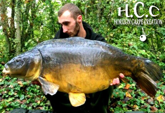 ALEXIS LAGRANGE - CONSULTANT HCC