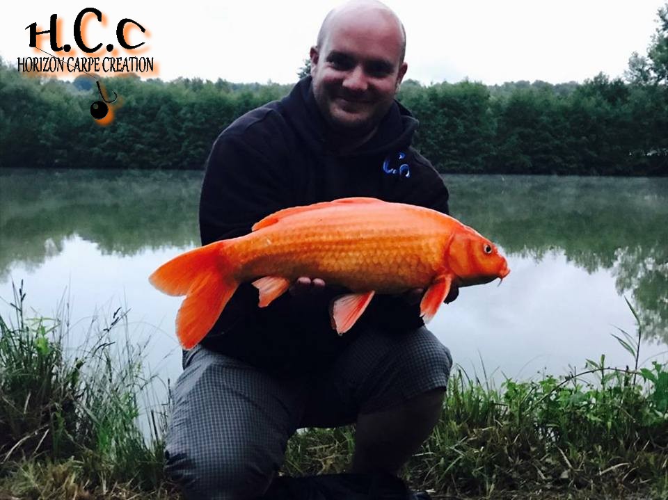 ANTHONY ZAMBELLI - TESTEUR HCC