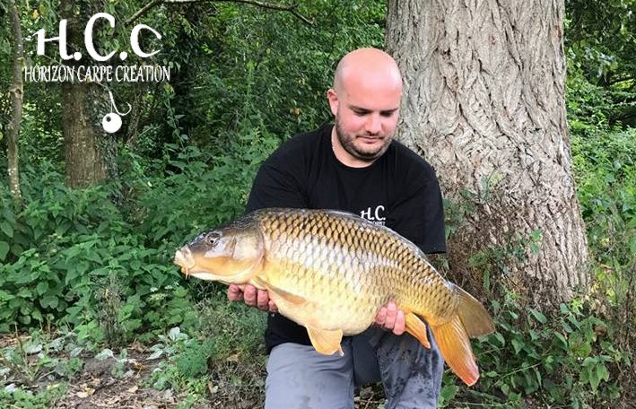 ANTHONY ZAMBELLI - TESTEUR HCC