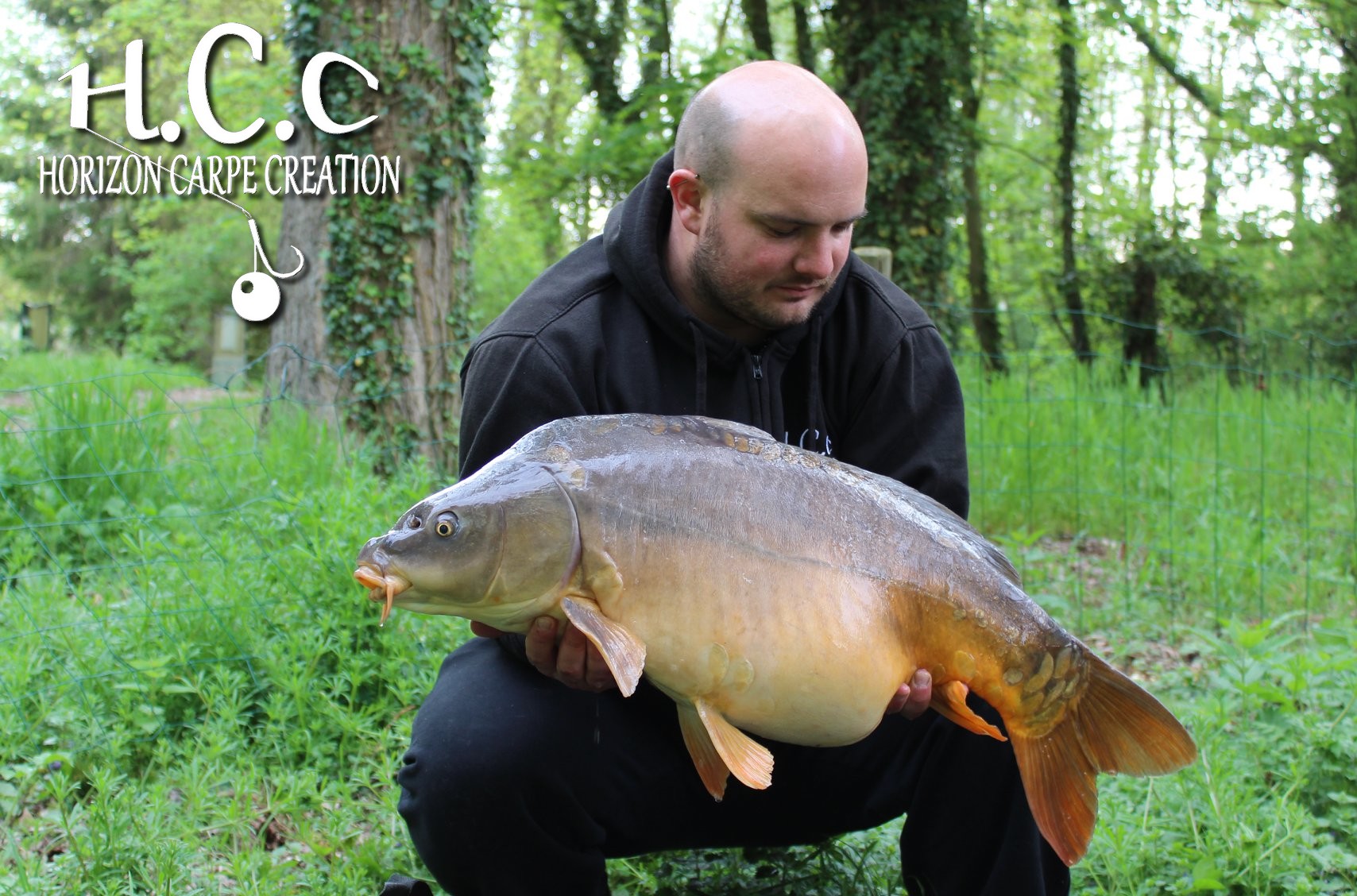 Anthony Zambelli - Testeur HCC