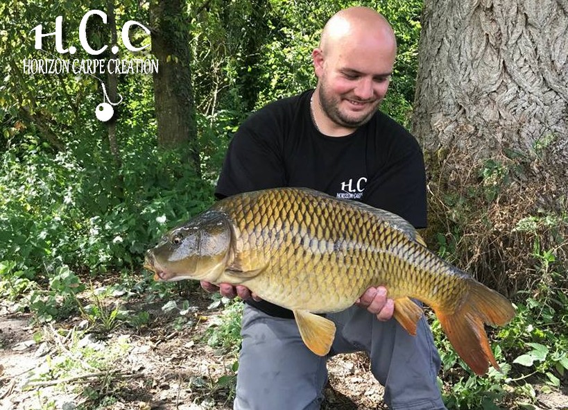 ANTHONY ZAMBELLI - TESTEUR HCC