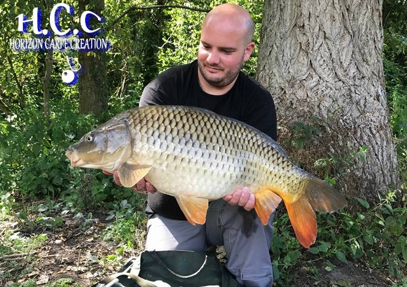 ANTHONY ZAMBELLI - TESTEUR HCC