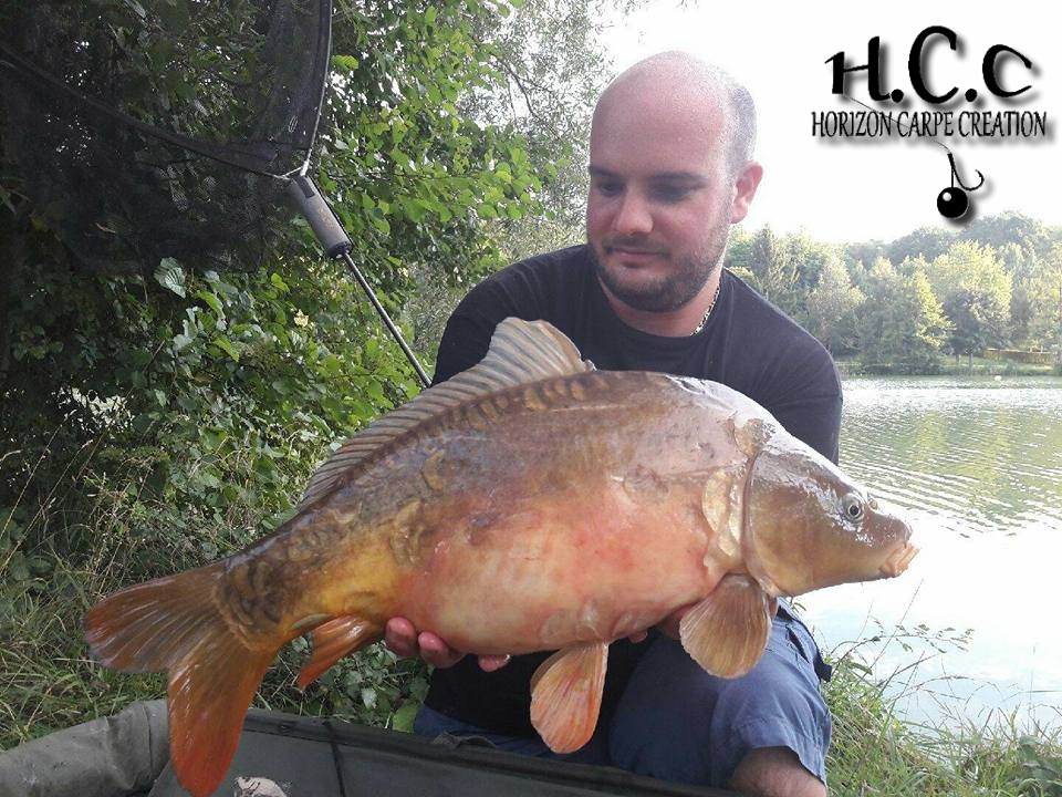ANTHONY ZAMBELLI - TESTEUR HCC