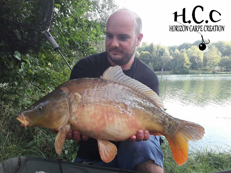 ANTHONY ZAMBELLI - TESTEUR HCC