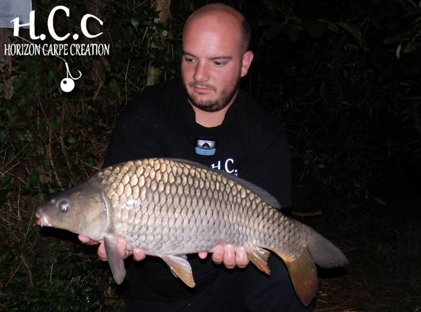 ANTHONY ZAMBELLI - TESTEUR HCC