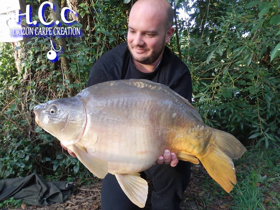 ANTHONY ZAMBELLI - TESTEUR HCC