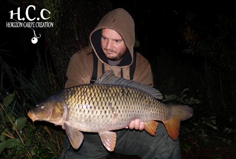 ANTHONY ZAMBELLI - TESTEUR HCC