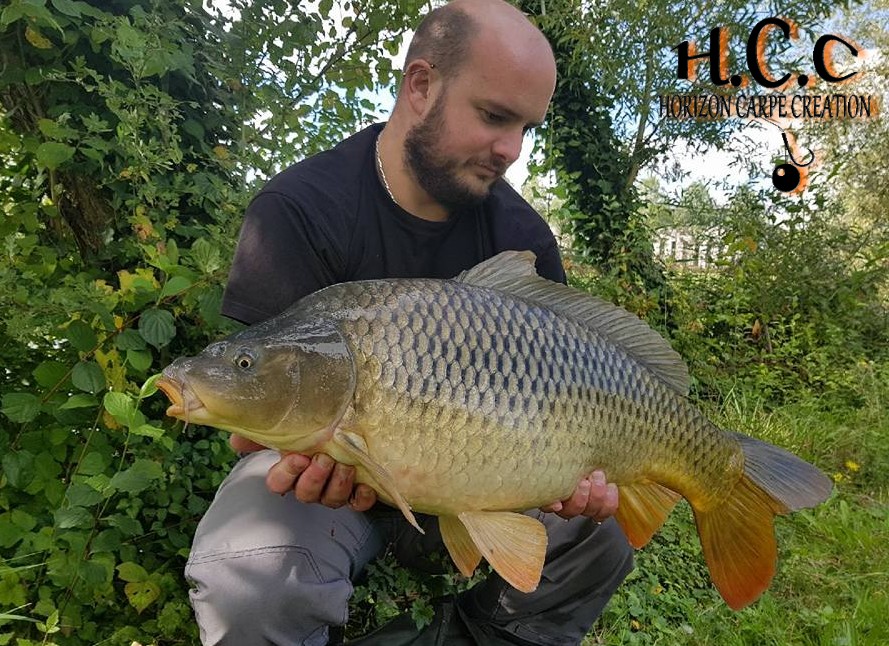 ANTHONY ZAMBELLI - TESTEUR HCC