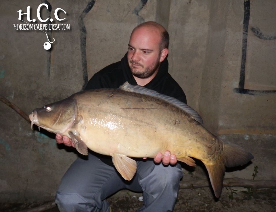 ANTHONY ZAMBELLI - TESTEUR HCC