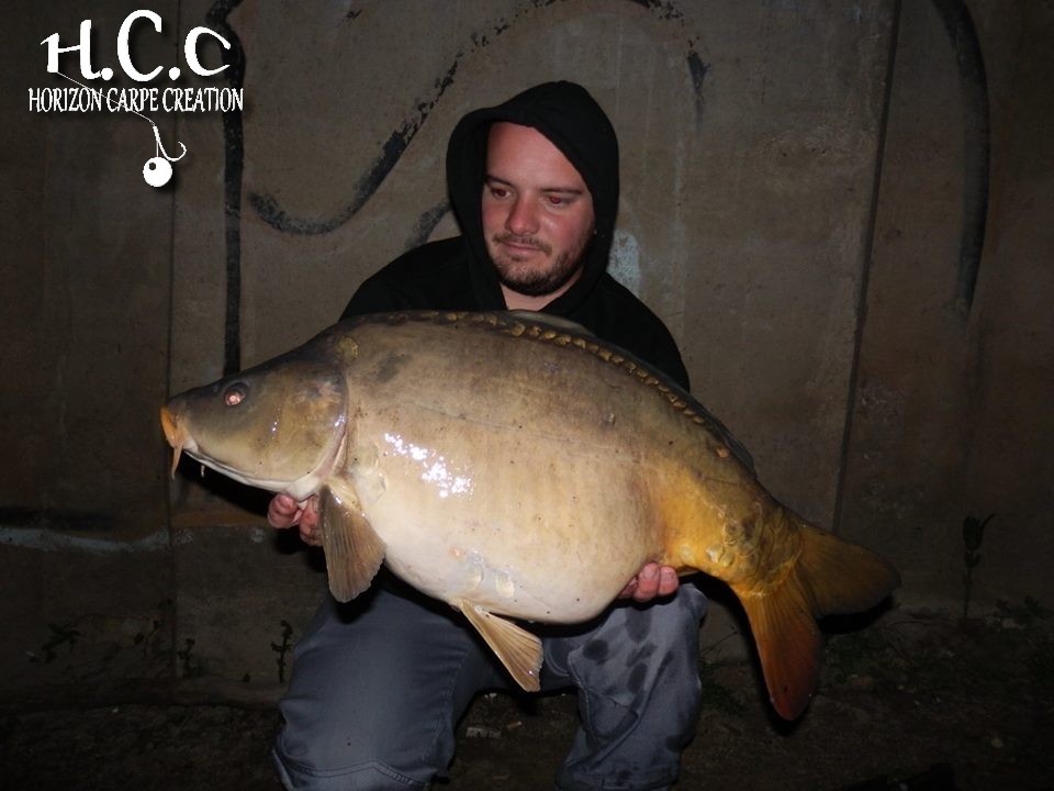 ANTHONY ZAMBELLI - TESTEUR HCC
