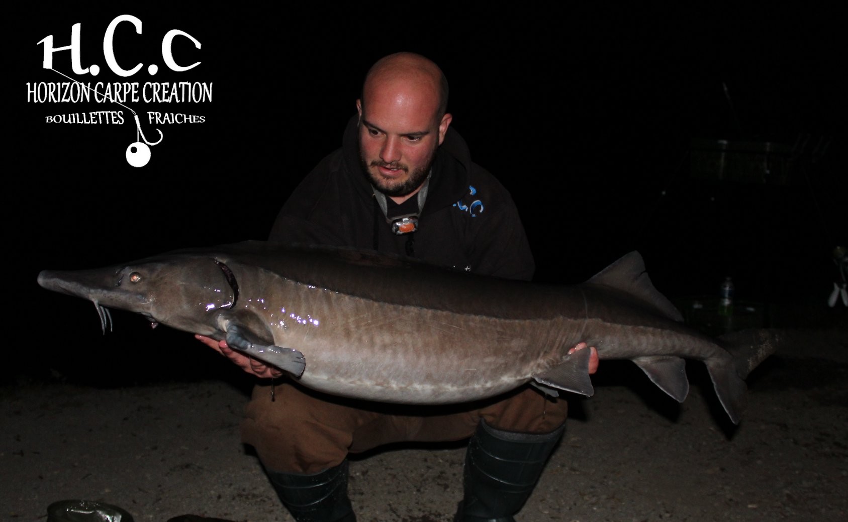 ANTHONY ZAMBELLI - TESTEUR HCC