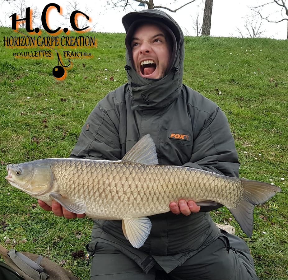 ANTHONY ZAMBELLI - TESTEUR HCC