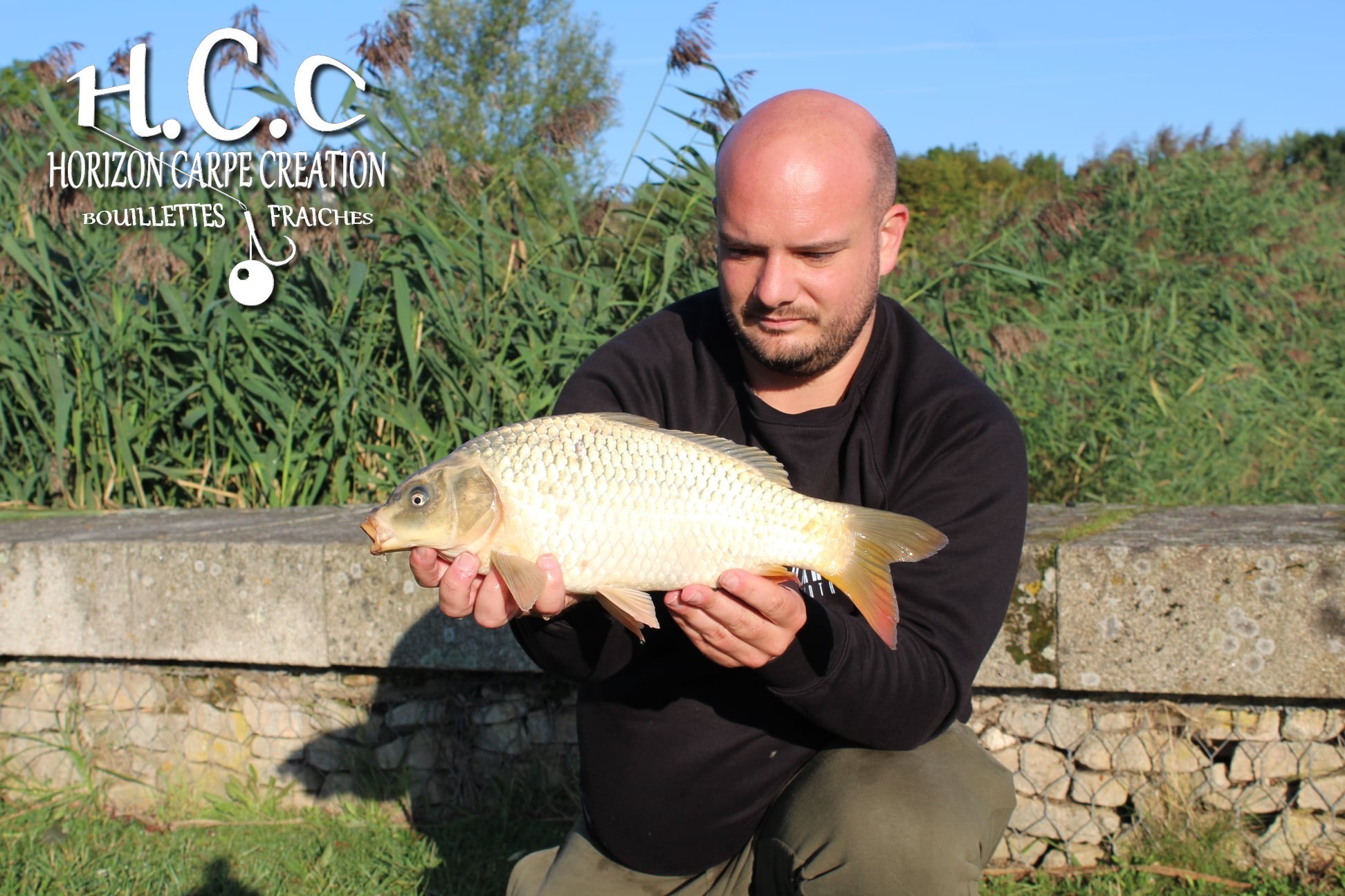 ANTHONY ZAMBELLI - TESTEUR HCC